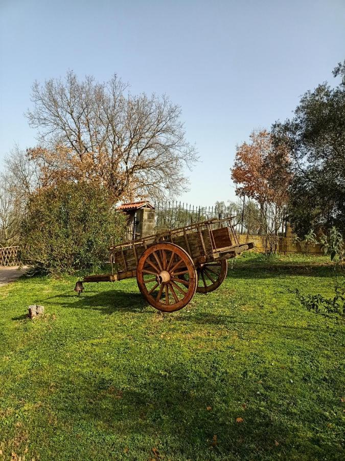 Вілла Rifugio Di Campagna Віторк'яно Екстер'єр фото